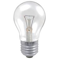 Professional 60W ES Clear GLS