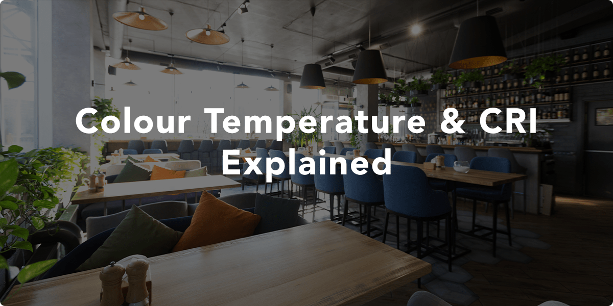 A modern restaurant using pendant lighting as feature lighting over tables