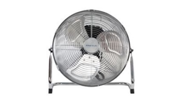 FANS