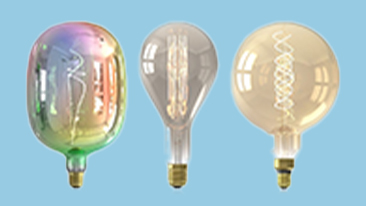 decorative light bulbs