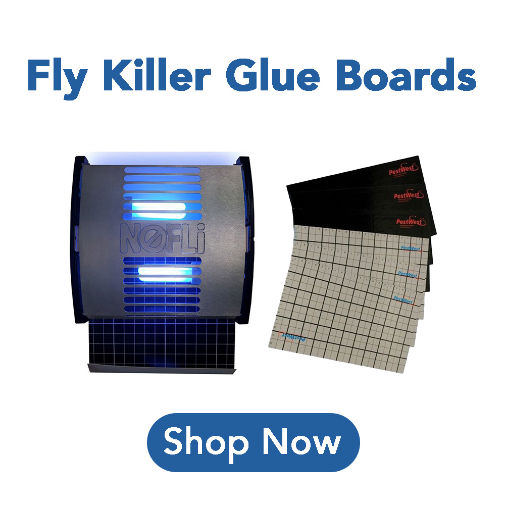 fly-killer-glue-boards