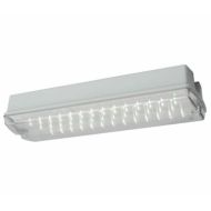 Ansell Guardian LED Bulkhead Maintained / Non-Maintained 3W White