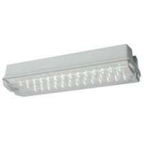 Ansell Guardian LED Bulkhead Maintained / Non-Maintained 3W White