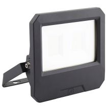 Ansell Vaste LED 100w Cool White Floodlight Electronic Photocell