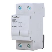 FuseBox 100A 2 Pole Connector