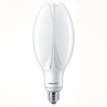 Philips TrueForce Core LED PT 50-42W E27 830 FR