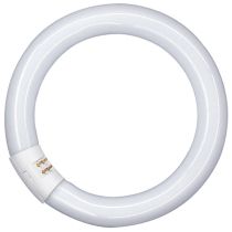 32w T9 305mm Circular Fluorescent Tube Dimmable Box of 25