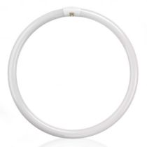 22w T9 216mm Circular Fly Killer Tube Dimmable