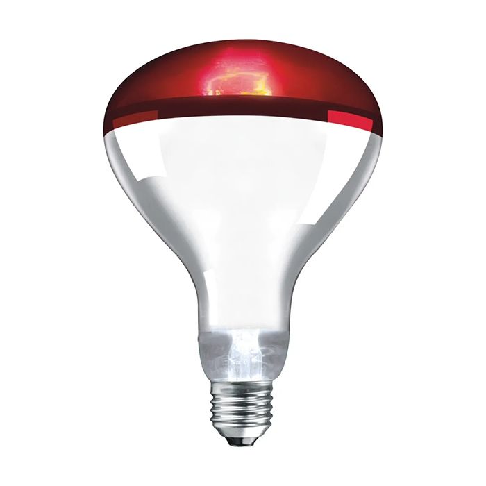250W ES Infra-Red Heating Lamp