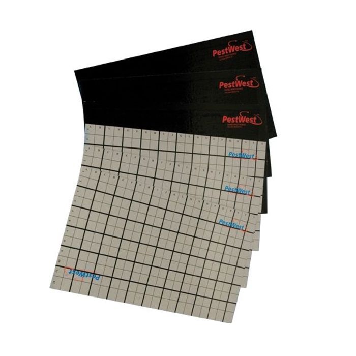 PestWest Mantis 1x2 Replacement Sticky Boards 6 Pack