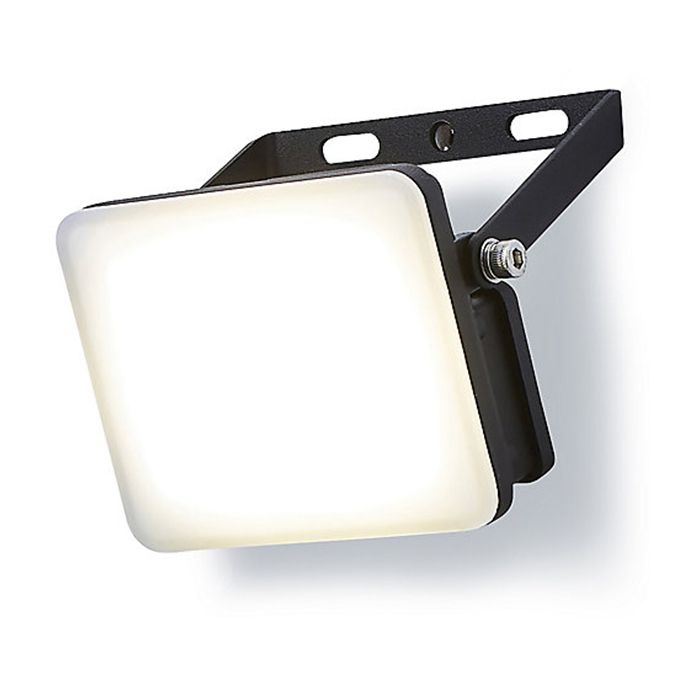 Stanley 10W Frosted LED Floodlight 